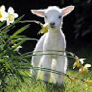 Meet your Posher, Angie